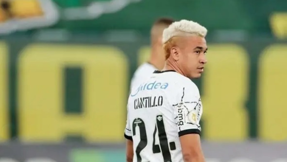 Cantillo platinado Brahma