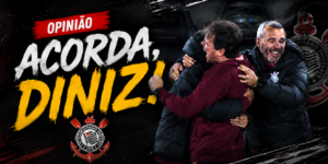 Opinião sobre Diniz (Imagem feita por IA)